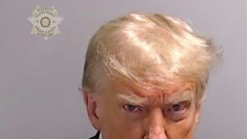 Trump ver&ouml;ffentlicht offizielles Foto - Portr&auml;t erinnert an sein Polizeifoto