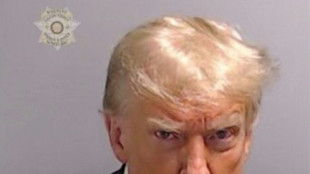 Trump ver&ouml;ffentlicht offizielles Foto - Portr&auml;t erinnert an sein Polizeifoto