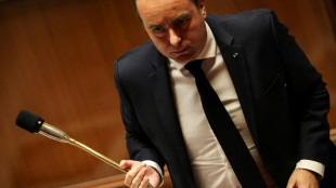 Carburants: Lecornu veut utiliser le "surplus" fiscal pour d&eacute;carboner l'&eacute;conomie