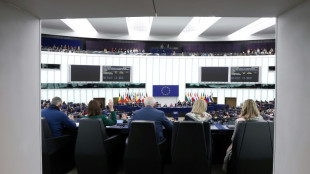 Parlamento Europeu aprova lei para combater viol&ecirc;ncia contra as mulheres