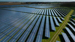 Gro&szlig;es Interesse an Ausschreibung f&uuml;r Solaranlagen - F&ouml;rderbedarf sinkt