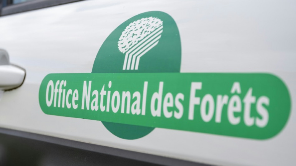  For&ecirc;t: neuf r&eacute;serves biologiques cr&eacute;&eacute;es ou &eacute;tendues en France, la plus grande en Guyane 