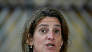 Espa&ntilde;a pide a sus empresas "reducir al m&aacute;ximo" sus importaciones de gas ruso