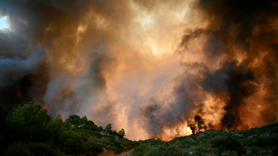 France's huge wildfire will burn for days: authorities