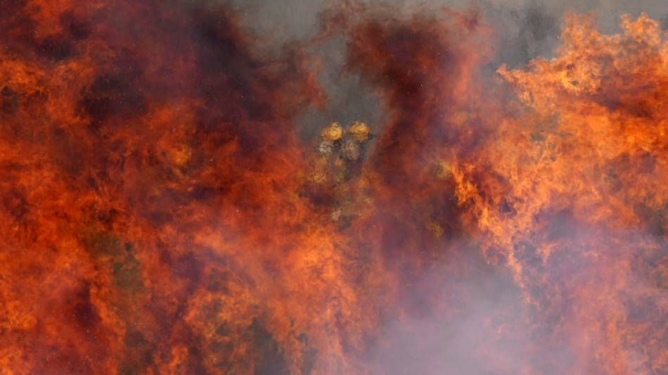 Francia env&iacute;a dos aviones Canadair a Espa&ntilde;a para luchar contra incendios