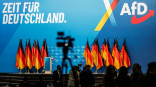 AfD-Bundesparteitag in Riesa er&ouml;ffnet - wegen Protesten mit Versp&auml;tung