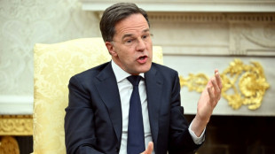 Rutte will Nato mit den USA st&auml;rken - Trump erneuert Kritik an Verb&uuml;ndeten