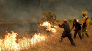 Spain fights to 'save lives' as wildfires rage near Madrid