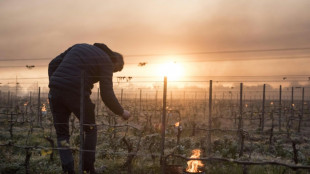 S&eacute;cheresse, gel, gr&ecirc;le... derni&egrave;re ligne droite pour la r&eacute;forme de l'assurance r&eacute;colte