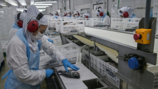 Desemprego no Brasil caiu para 5,6% em 2025, menor &iacute;ndice da s&eacute;rie hist&oacute;rica