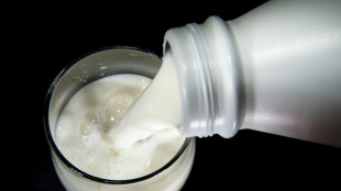 Le prix du lait va continuer d'augmenter &agrave; cause de la s&eacute;cheresse
