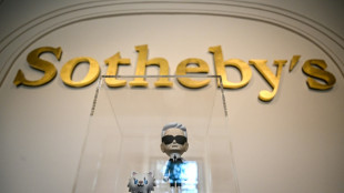 A subasta los &uacute;ltimos bienes de la vasta colecci&oacute;n de Karl Lagerfeld