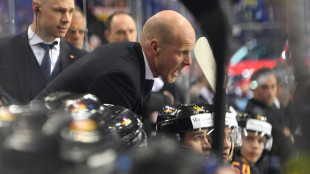 Eishockey: S&ouml;derholm st&auml;rkt Trainerstab mit N&uuml;rnbergs Rowe