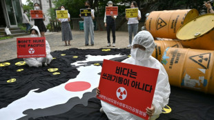Jap&oacute;n quiere m&aacute;s energ&iacute;a nuclear ante la carest&iacute;a por la guerra en Ucrania