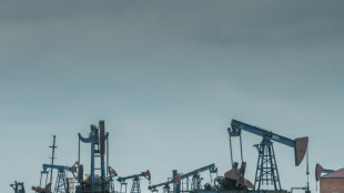 EU-Ratspr&auml;sident rechnet mittelfristig mit Importstopp f&uuml;r russisches &Ouml;l und Gas