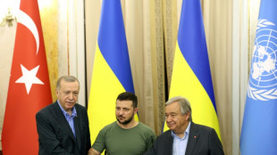 Turqu&iacute;a propone mediar entre Rusia y Ucrania para evitar desastre en central nuclear