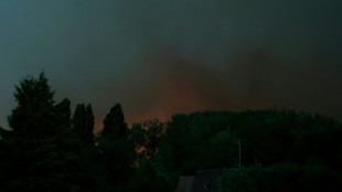Major fire rages in Fontainebleau forest near Paris