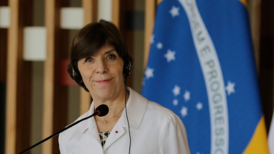 Bolsonaro parti, Lula de retour, la France et le Br&eacute;sil renouent