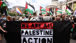 Gb dichiara fuori legge gruppo pro-pal dopo blitz in base