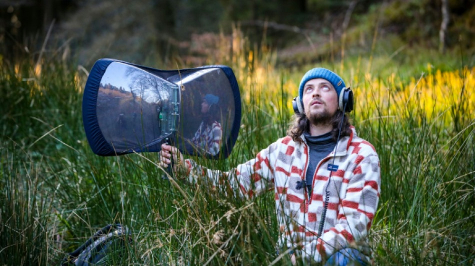 La mission d'un Irlandais : enregistrer les chants de toutes les espèces d'oiseaux