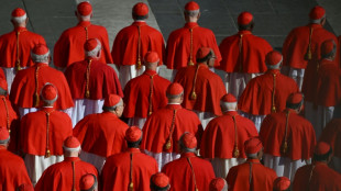 Le pape cr&eacute;e 21 cardinaux appel&eacute;s &agrave; peser sur l'&eacute;lection de son successeur