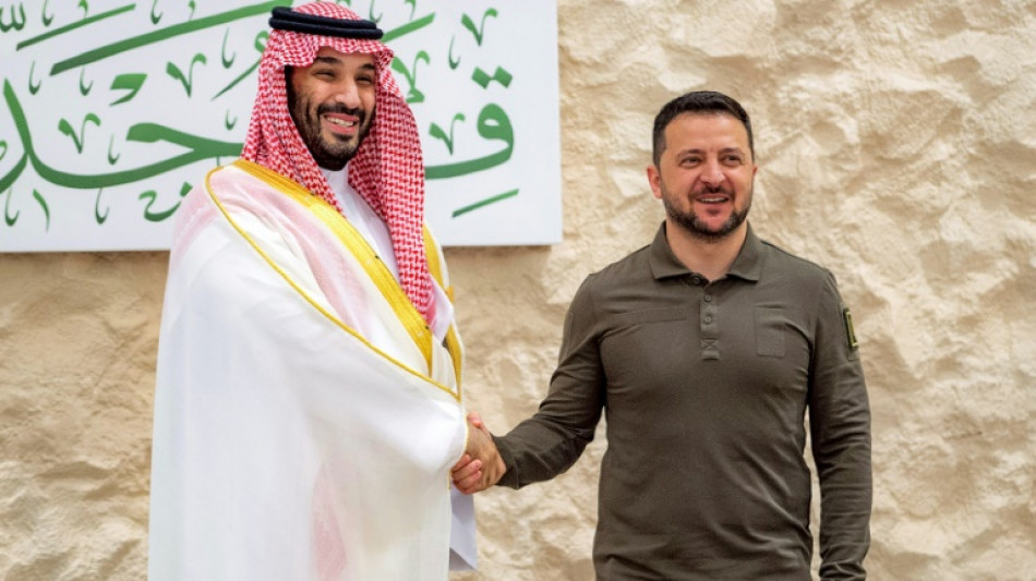 Selenskyj: Einige arabische L&auml;nder verschlie&szlig;en die Augen vor russischer Invasion