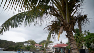 French scientists find new blood type in Guadeloupe woman