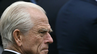 Peter Navarro, o 'senhor tarifas' de Trump atacado por Musk 