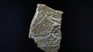 Descubren grabados prehist&oacute;ricos de la misma &eacute;poca que los de la cueva francesa de Lascaux 