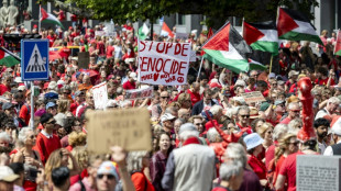 Zehntausende demonstrieren in den Niederlanden gegen Krieg im Gazastreifen