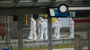 Allemagne : attaque au couteau à la gare de Hambourg, une suspecte arrêtée