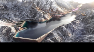 Olympic Council of Asia says Saudi Winter Games 'on schedule'