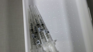 'Master key' vaccine technique may 'prevent next pandemic': researchers