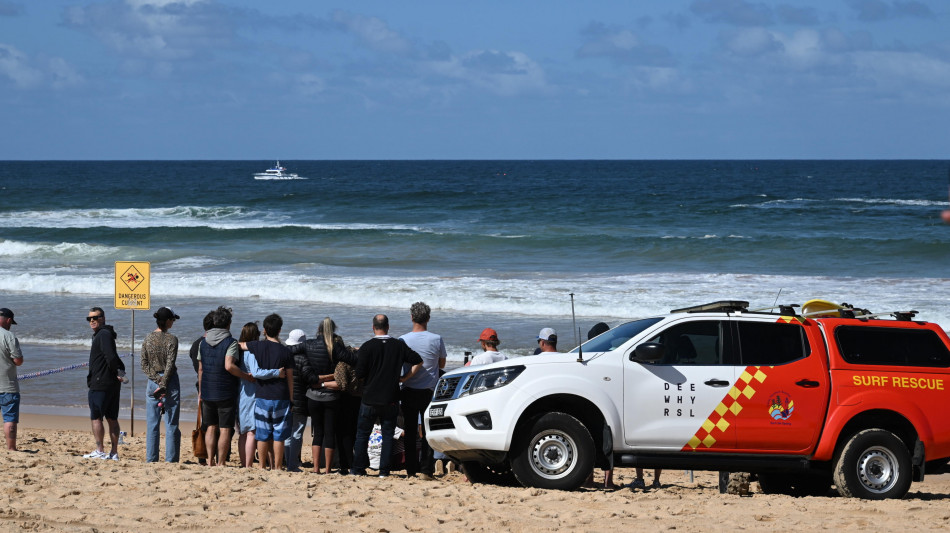 Uno squalo aggredisce un ragazzo nel porto di Sydney, &egrave; gravissimo
