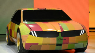 BMW stellt auf CES Auto mit wechselnden Farben vor