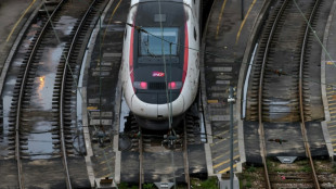 Gr&egrave;ve: la SNCF doit affiner mardi ses pr&eacute;visions pour le pont du 8 mai