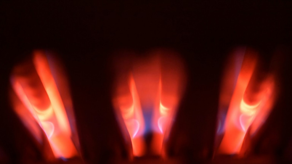 Le nombre de clients se chauffant au gaz en France a diminu&eacute; en 2022