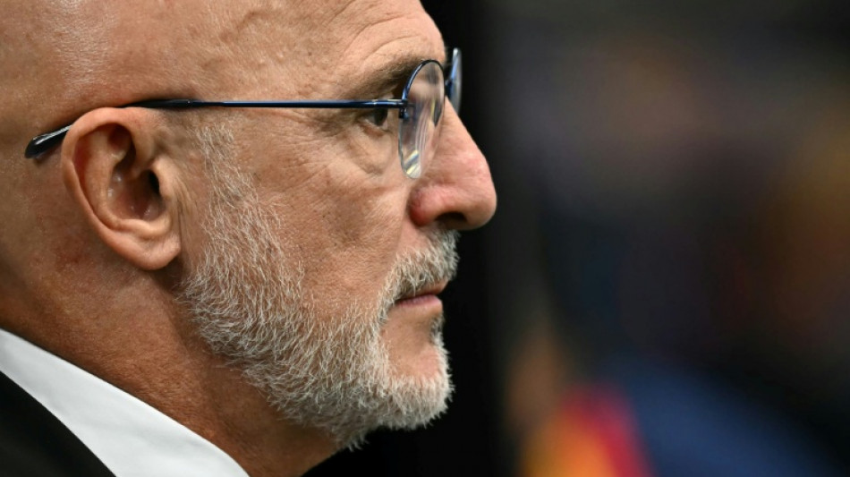  'Uma final de Copa est&aacute; ao alcance de poucos', comemora t&eacute;cnico da Espanha 