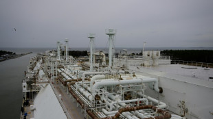 Gr&uuml;nes Licht aus Berlin f&uuml;r Bau von LNG-Terminal auf R&uuml;gen
