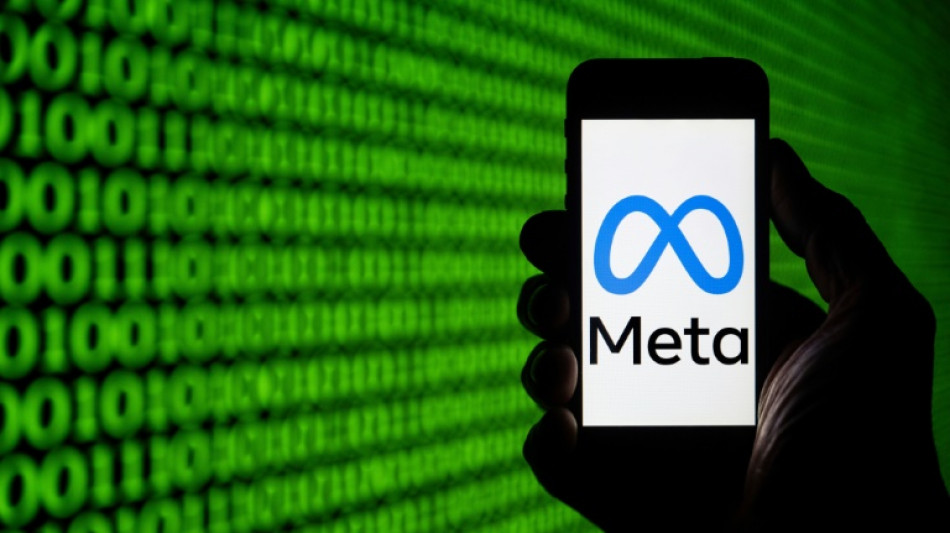 Meta double ses profits, mais ses investissements dans l'IA inqui&egrave;tent