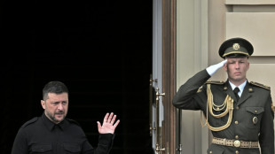 Zelenski insiste en reunirse con Putin ante el estancamiento de las conversaciones de paz