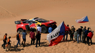 Dakar 2023: Loeb fonce, Al-Attiyah temporise, les motos au coude &agrave; coude