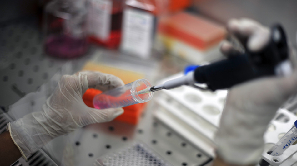 Hiv, identificati 'codici' immunitari per sospensione cure