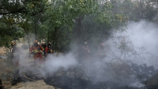 Weiter dichter Rauch durch Gro&szlig;brand nahe Madrid - L&ouml;schbedingungen &uuml;ber Nacht verbessert