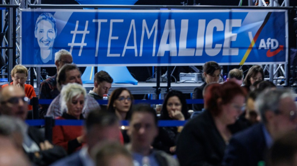 AfD beschlie&szlig;t auf Parteitag Gr&uuml;ndung von neuer Jugendorganisation