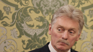 Cremlino, molte posizioni coincidenti con Usa, lavoriamo