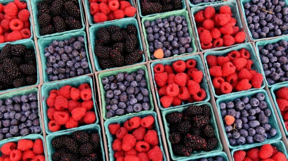  Noroviren in Tiefk&uuml;hlbeeren: Verbrauchersch&uuml;tzer fordern Warnhinweise 