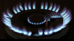 Deutsche Industrie fordert Zustimmung zu europ&auml;ischem Gas-Notfallplan