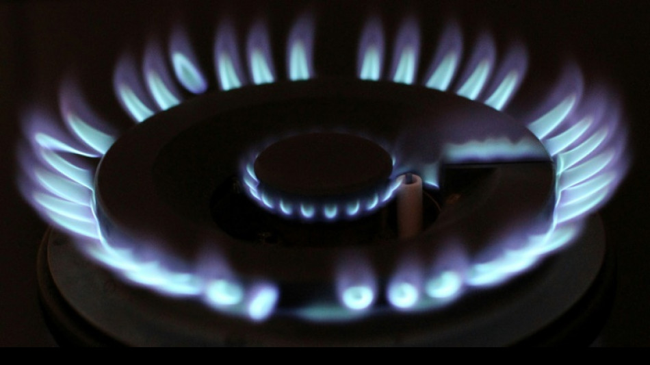 Linke mahnt z&uuml;gige Vorbereitungen f&uuml;r Heizwinter an