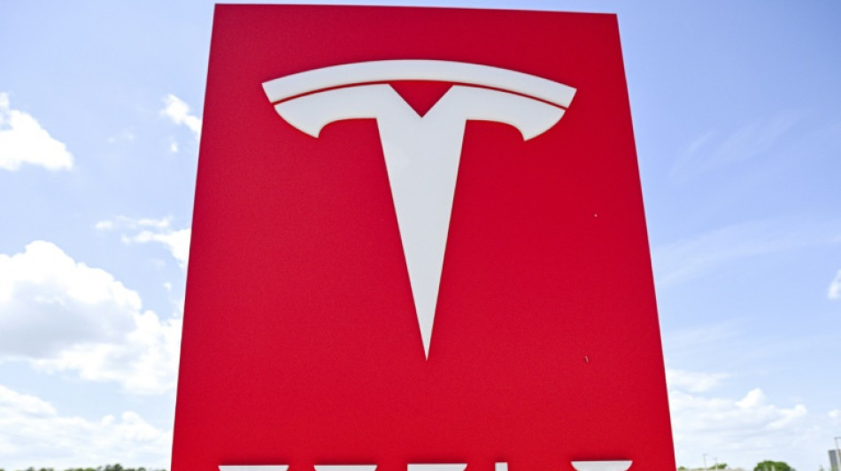 Las ventas mundiales de Tesla caen por el rol de Musk en la administraci&oacute;n Trump